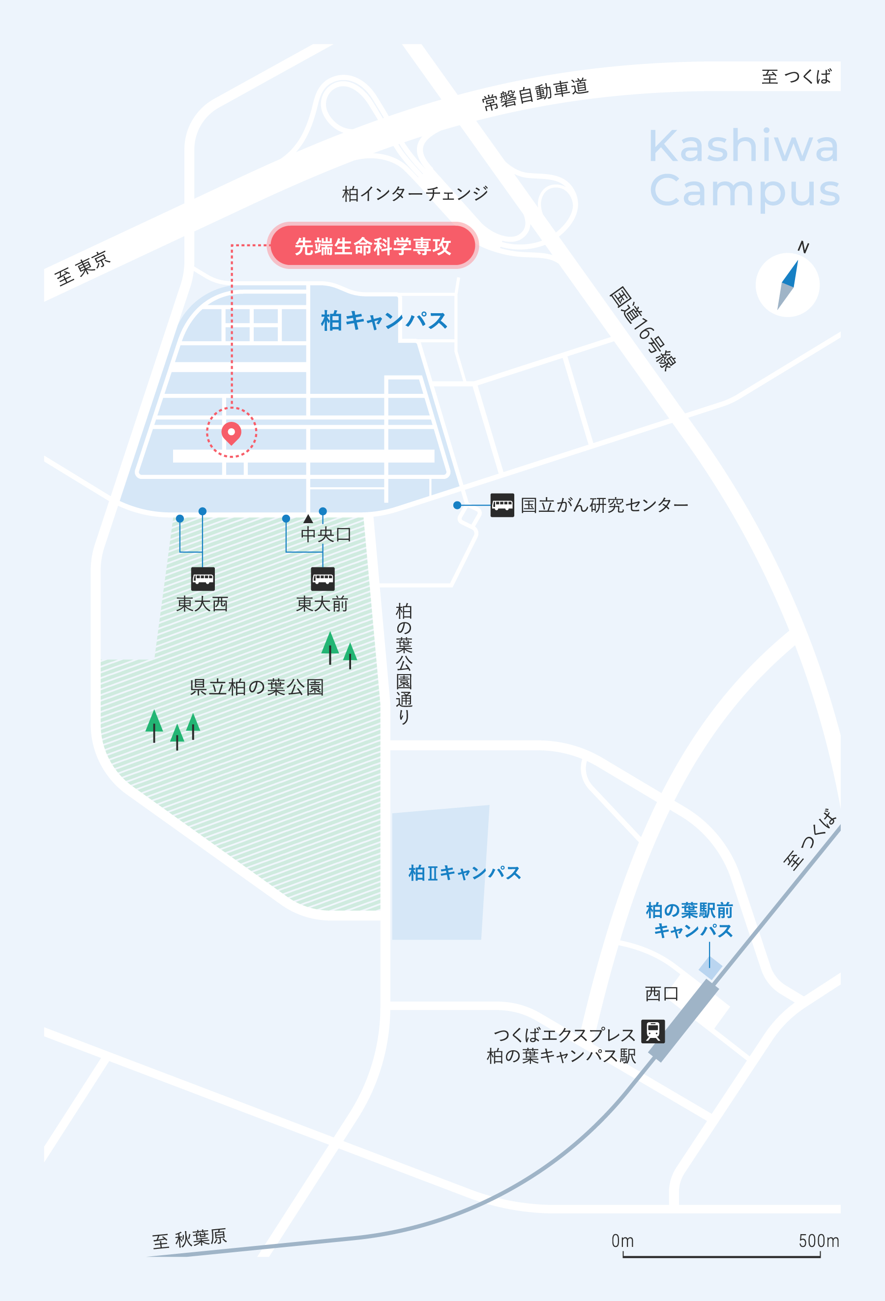 周辺地図